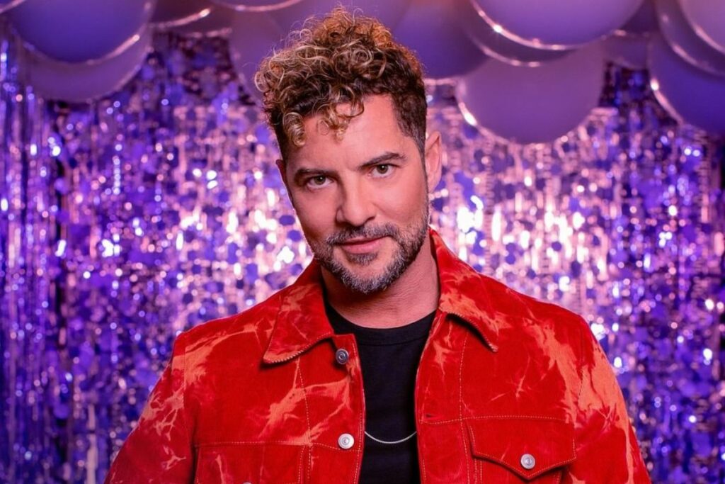 Imagen de David Bisbal en concierto