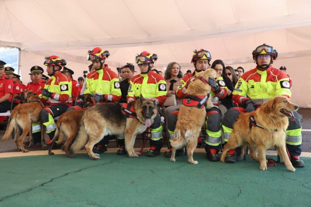 Perros bomberos se despiden en Quito