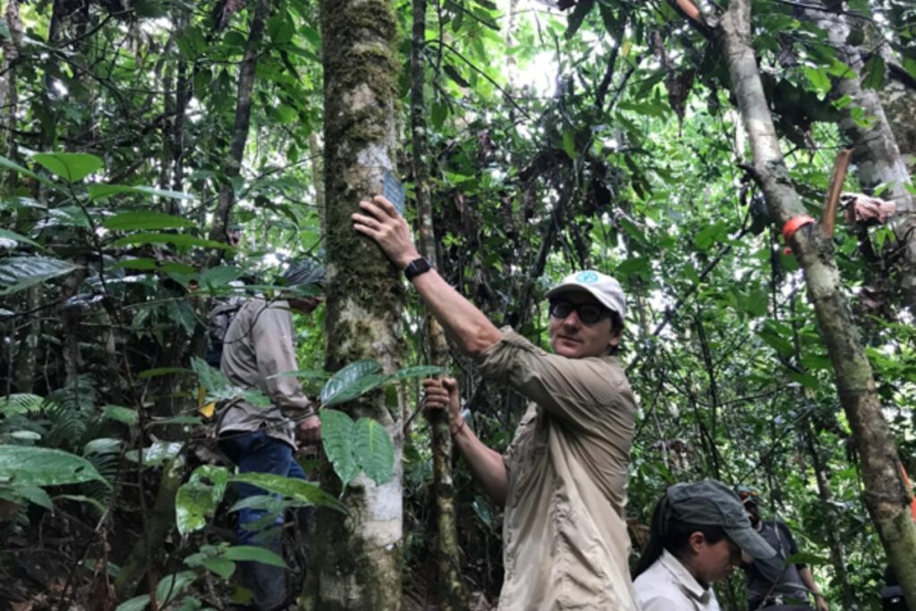 Fotografía resaltando la conservación de los bosques en Ecuador