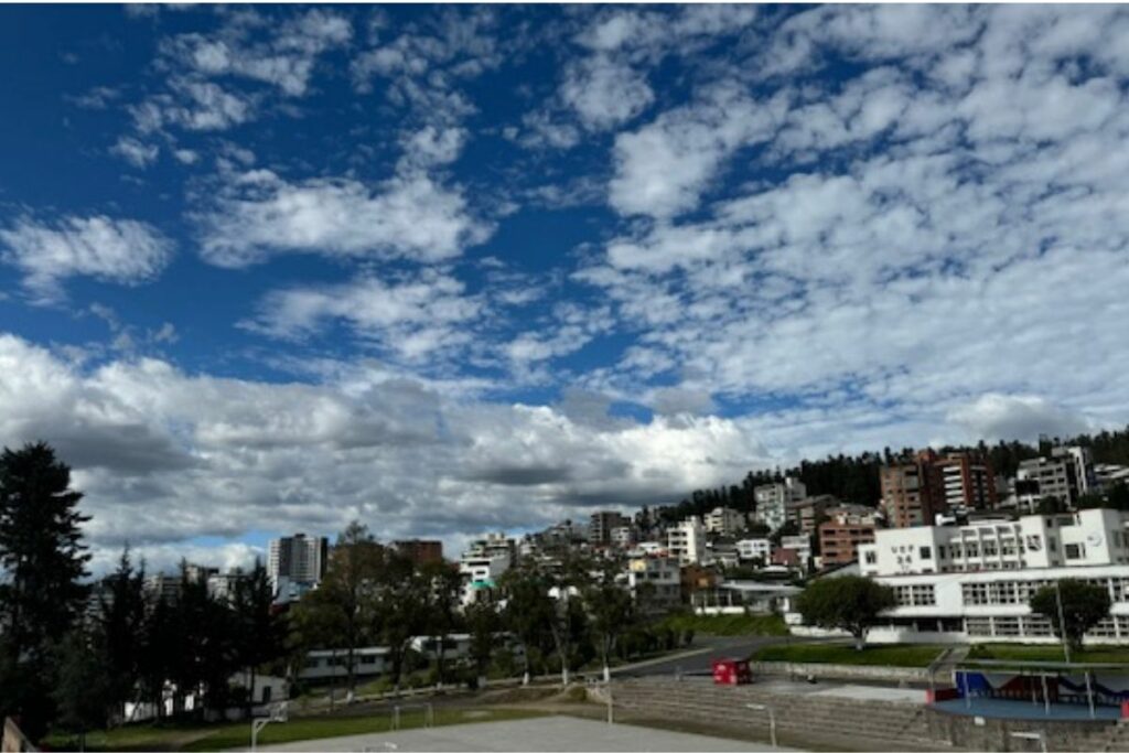 Explorando la belleza de una ciudad soleada