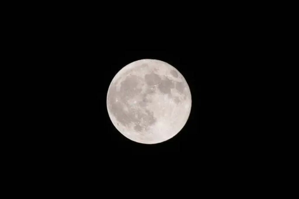 Luna de flores en Ecuador