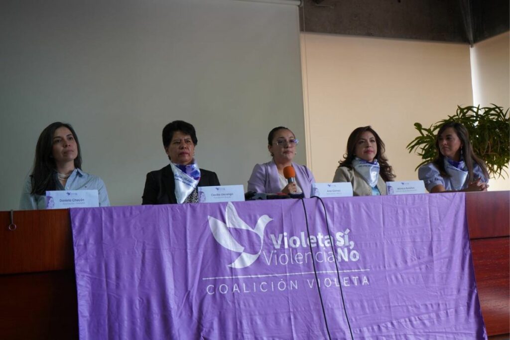 Lucha contra violencia hacia mujeres en política