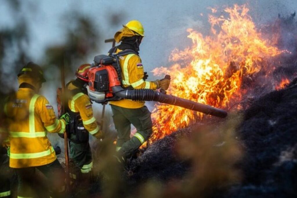 Presupuesto destinado a los Bomberos de Quito para incendios forestales. Imagen de referencia.