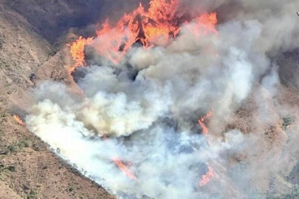 Incendio en Loja