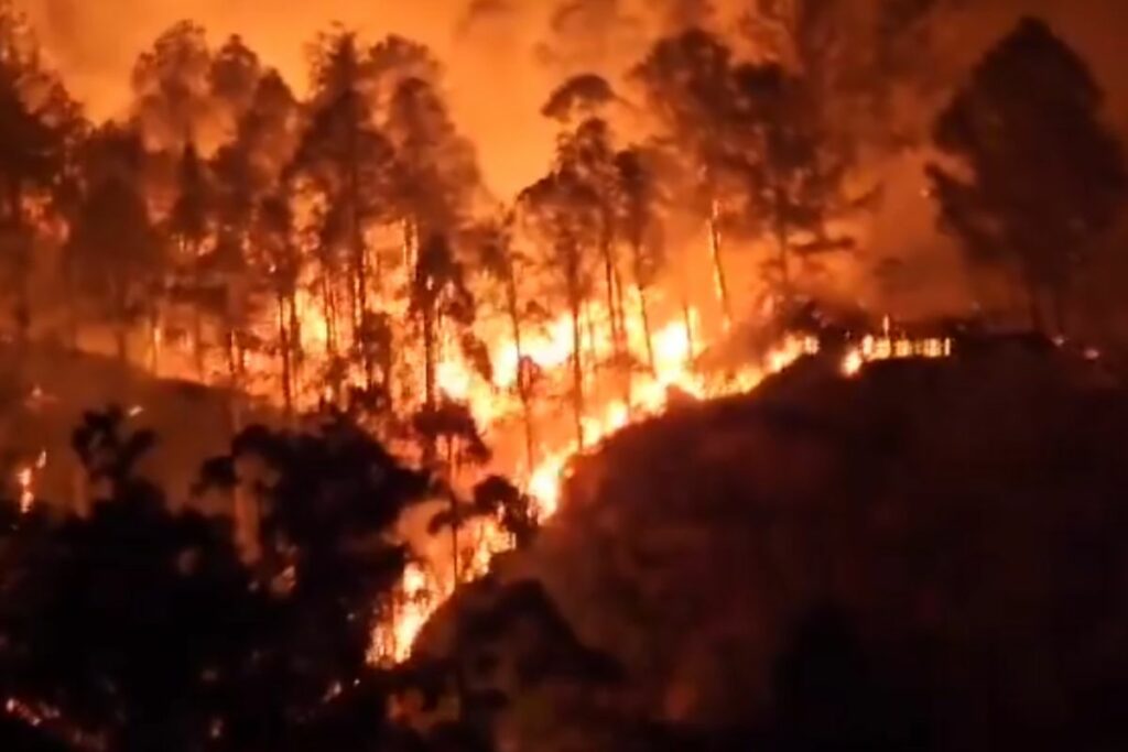 Incendio forestal en Quilanga