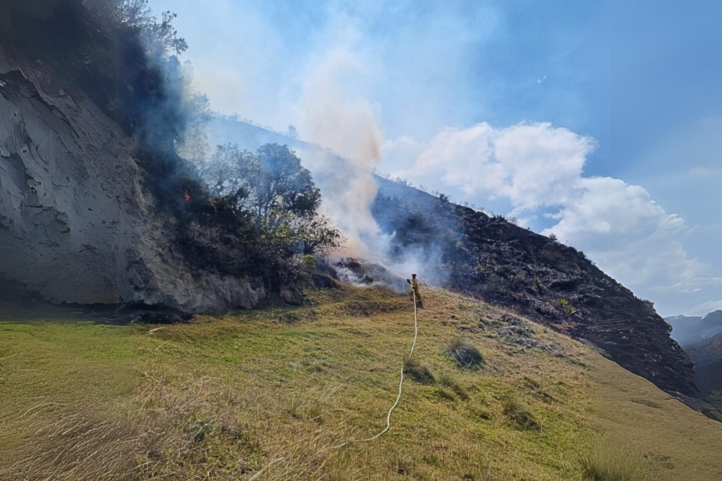 Imagen representativa de los incendios en Ecuador