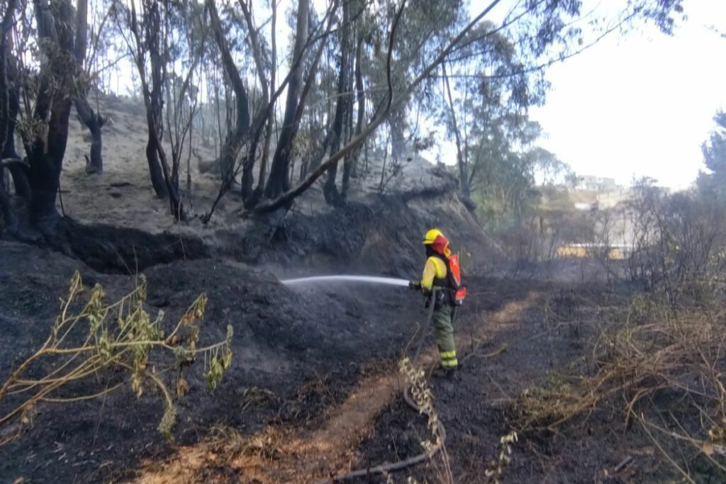 Imagen representativa del incendio en la zona norte de la ciudad.