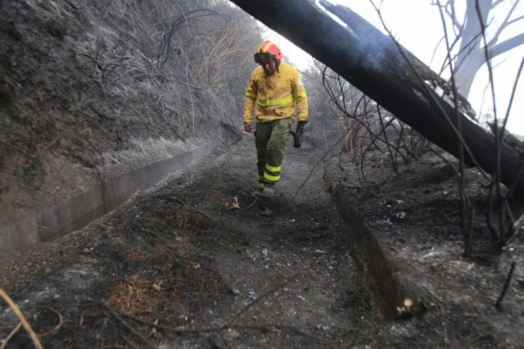 Incendio forestal en El Panecillo