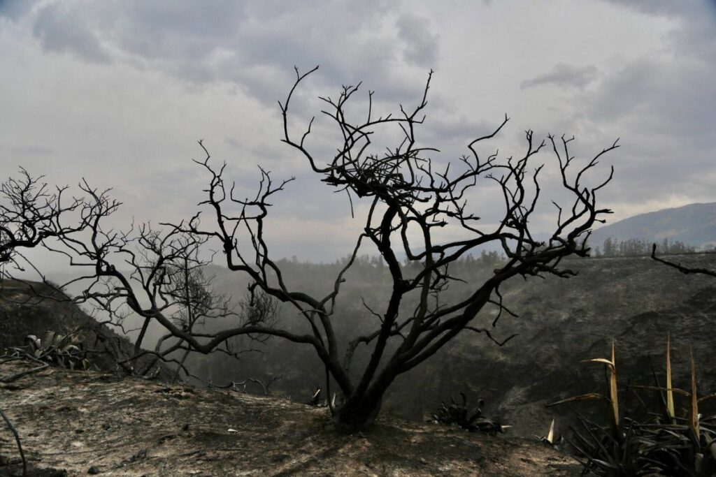 Incendios en la ciudad