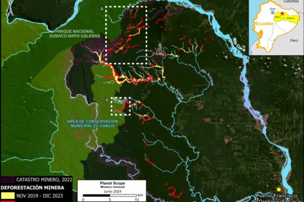 Impacto de la deforestación en áreas protegidas de la región.