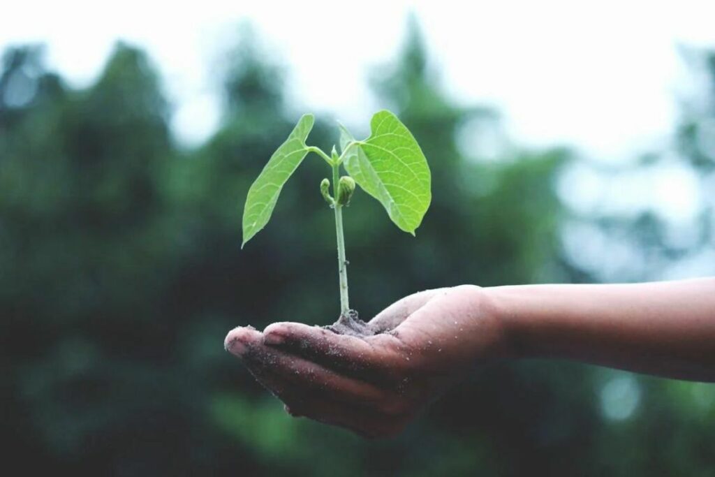 Tecnología en la Agricultura y la Crisis Climática