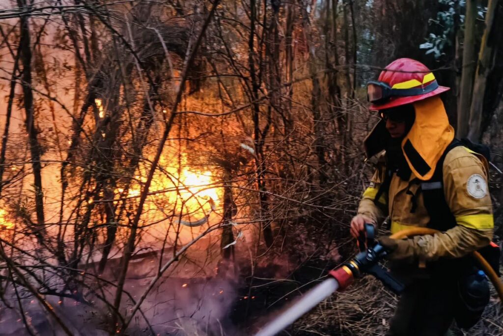 Bomberos combatiendo el fuego.