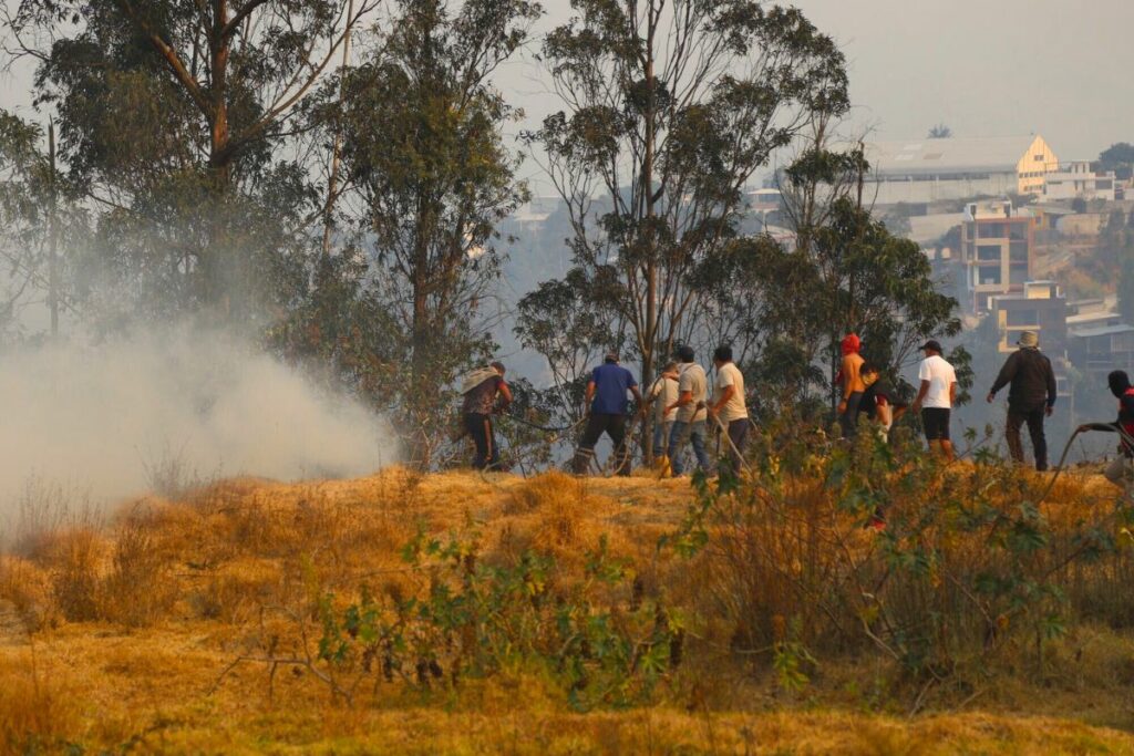 La comunidad colabora activamente en caso de emergencias en Quito