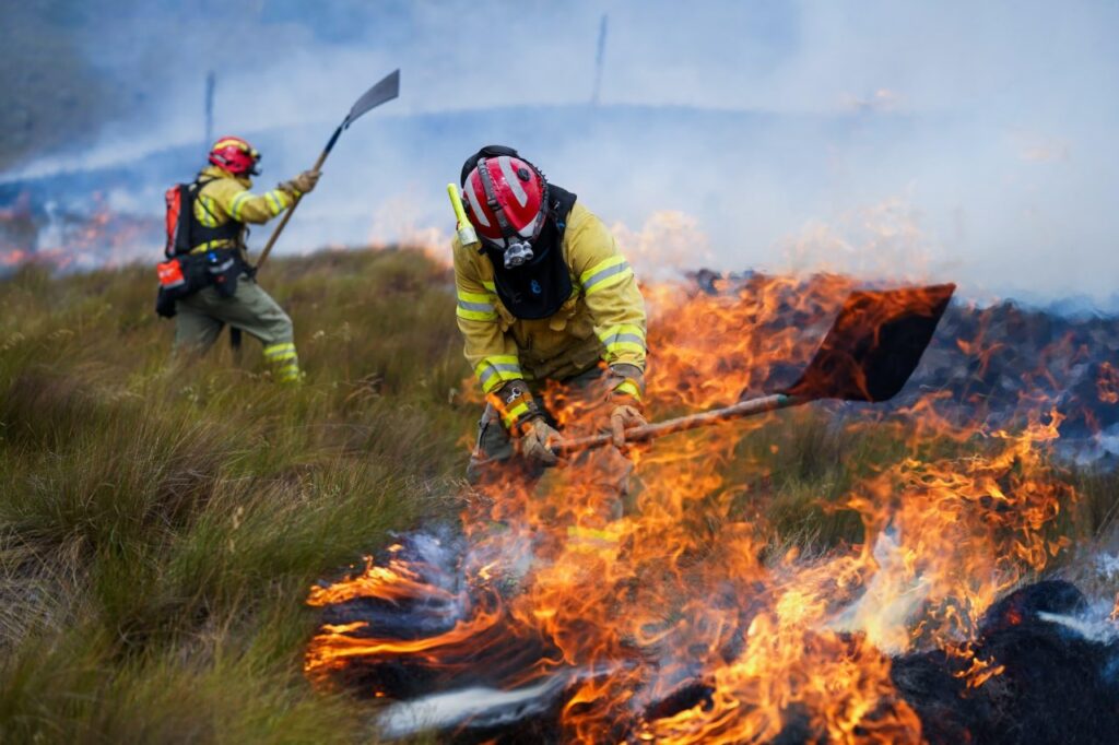 Bomberos trabajando en incendio territorial