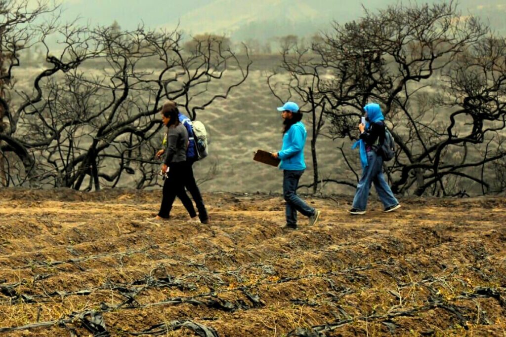 Imagen representativa del área afectada por el incendio en Itulcachi.