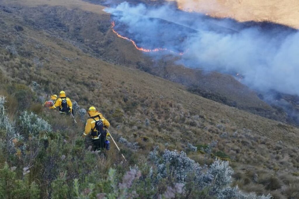 Incendio en la Reserva Ecológica El Ángel, en Carchi.