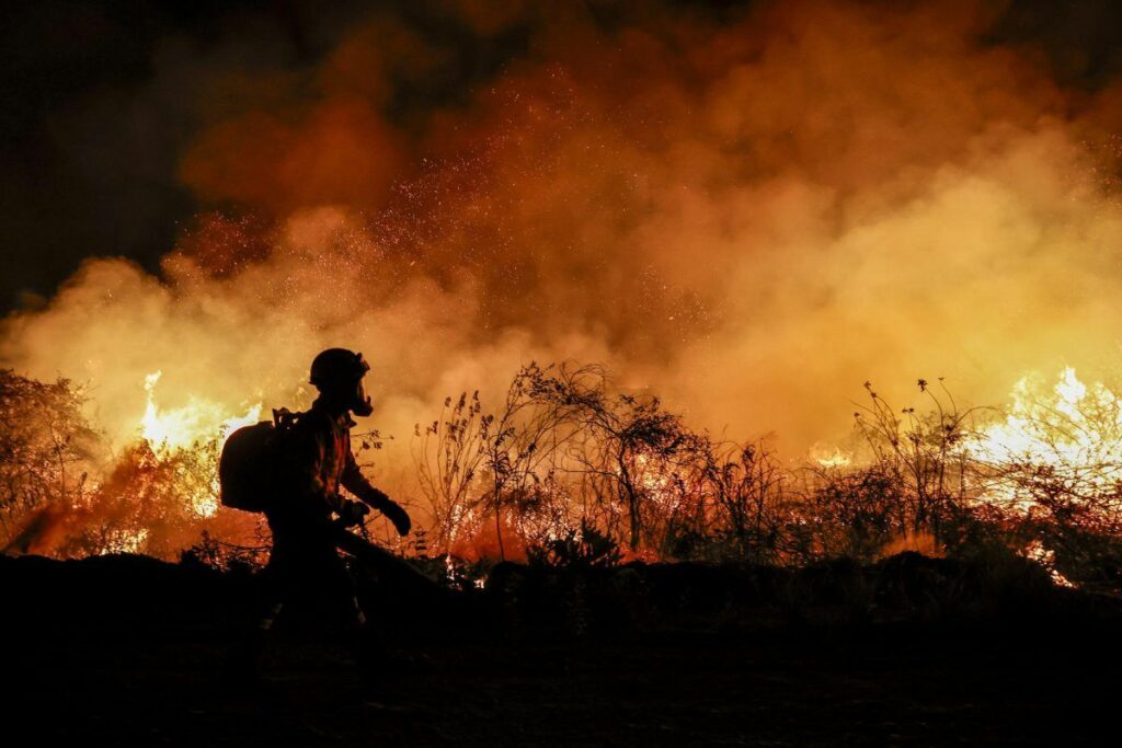 Incendio forestal en Brasil