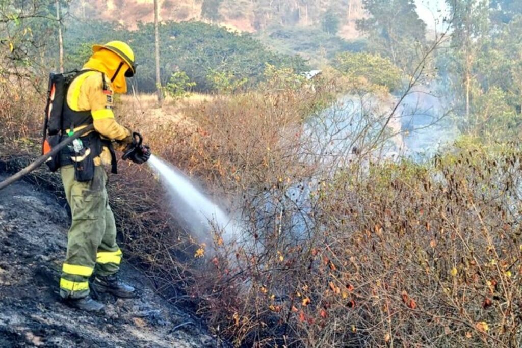 Imagen de personal del Cuerpo de Bomberos de Quito trabajando en incendios forestales