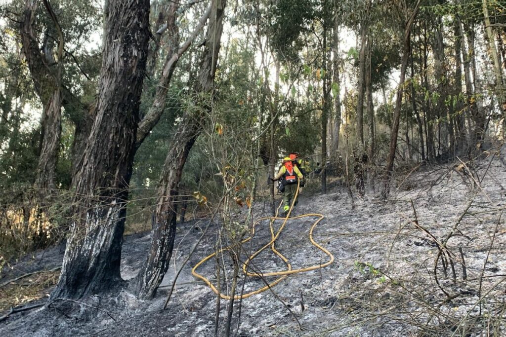 Imagen representativa del impacto de los incendios forestales