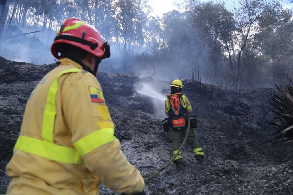 La mayoría de los incendios provocados en áreas verdes son causados por la intervención humana